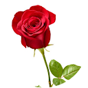 Azizul Alam profile picture